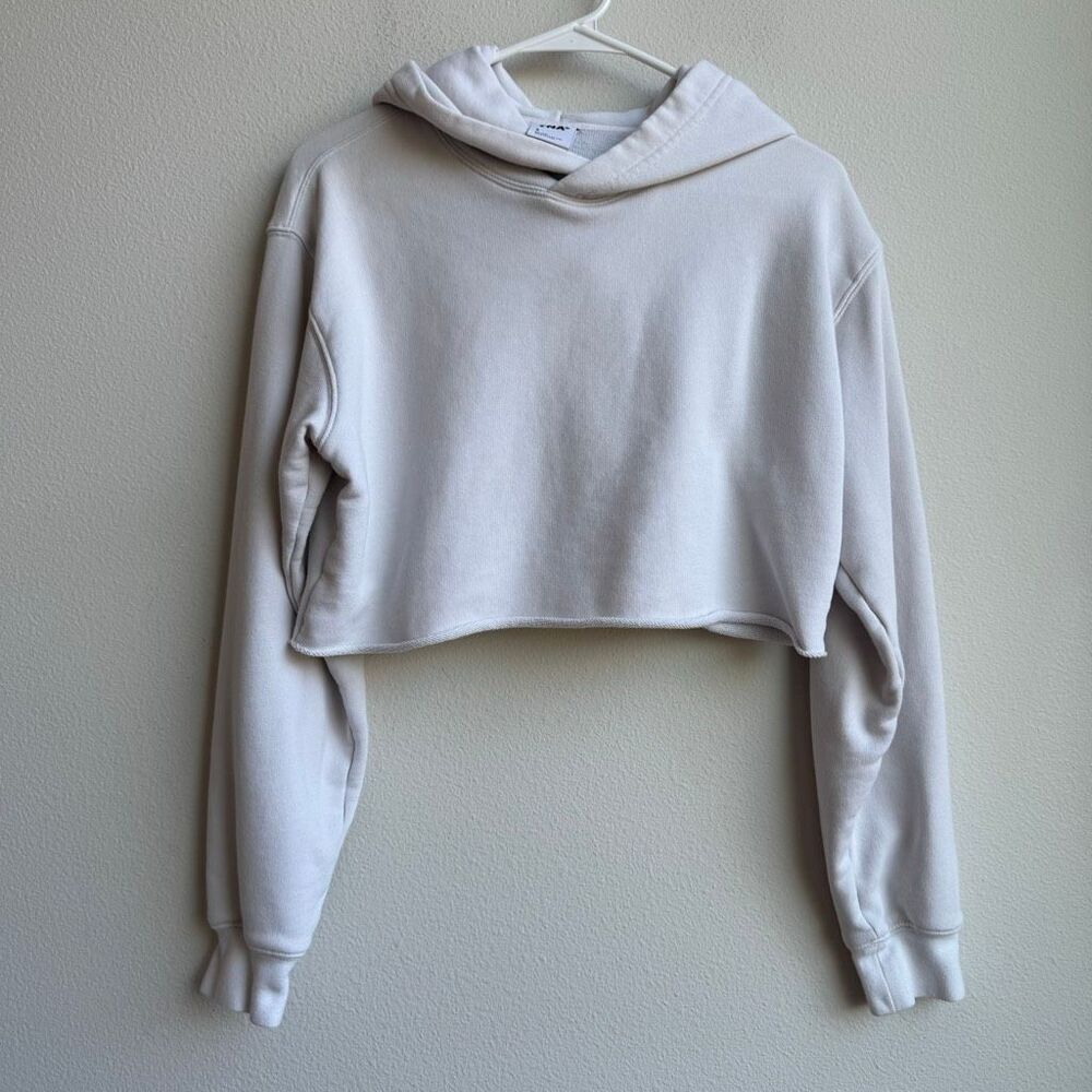 Aritzia Tna Cropped Light Grey Hoodie Sweatshirt Size Small Streetwear Athletic
